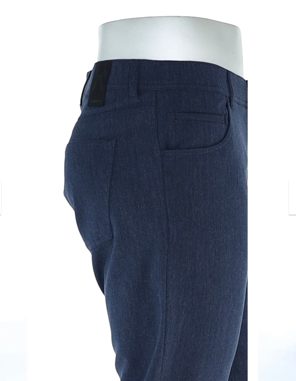 Italian Alberto Pants