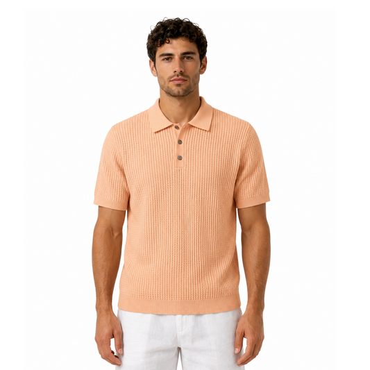 Codice Polo
